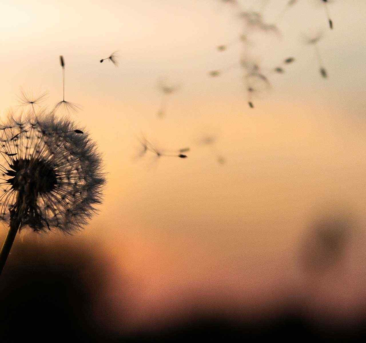 https://casedarwinlaw.com/wp-content/uploads/2018/09/post_02-1280x1200.jpg
